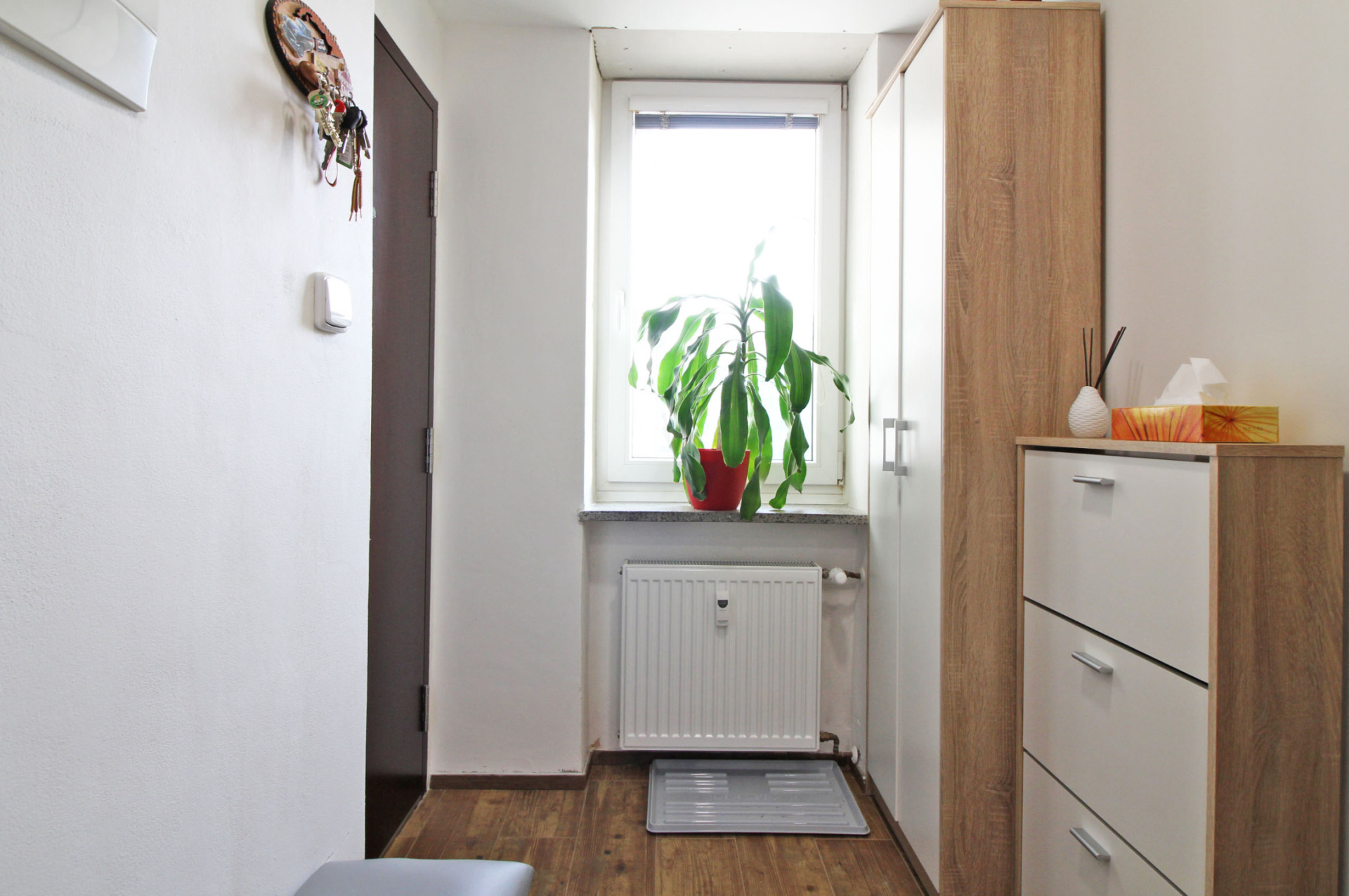 Byt 2+1, Myslbekova - Olomouc - foto 6